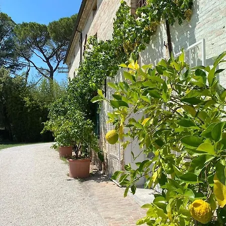Neoclassical Suite-the Luxury Of The 19th Century Appartement Passo di Treia
